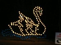 photos 2000-200902156
